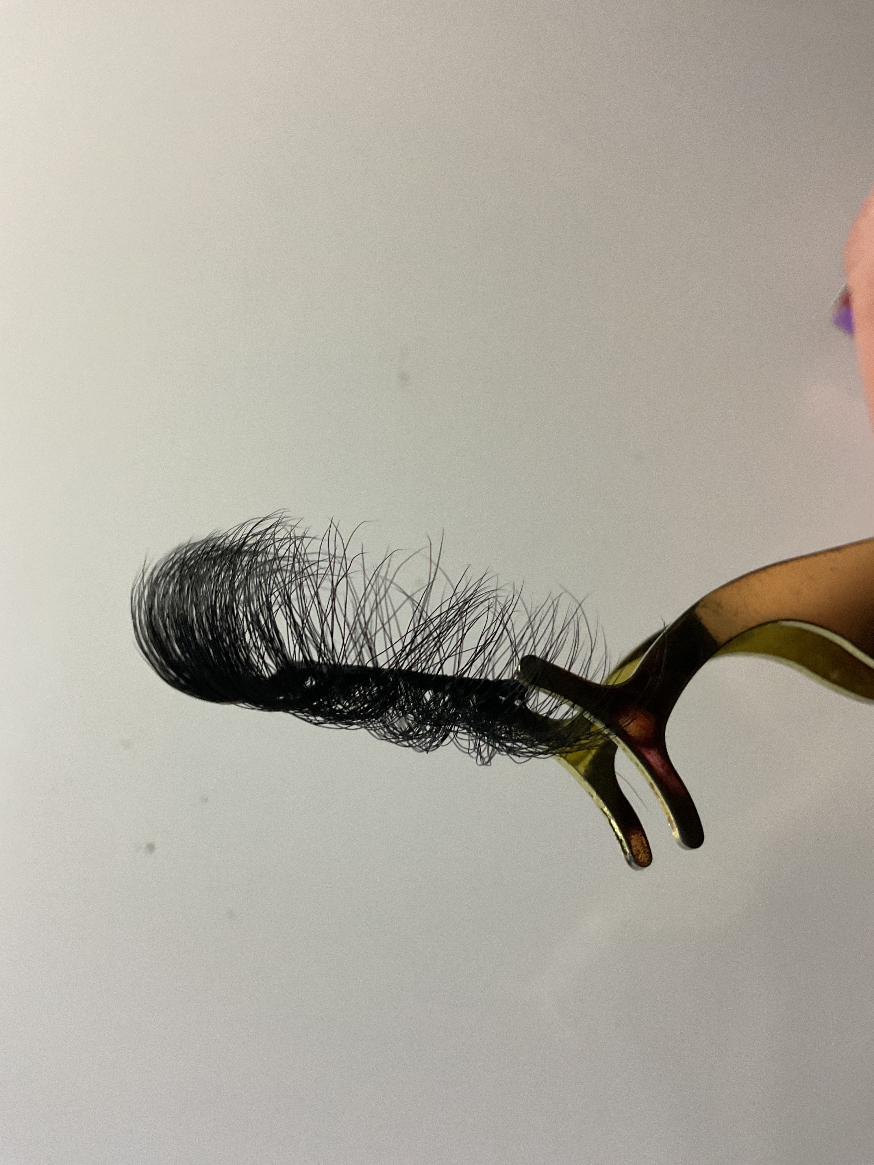Rina lashes